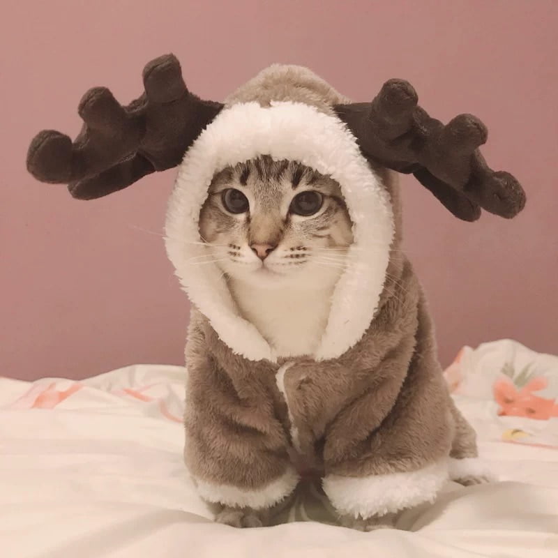Winter Cat Clothes Warm Fleece Pet Costume For Small Cats Kitten Jumpsuits Clothing Cat Coat Jacket Pets Dog Clothes